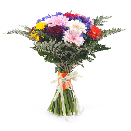 03000593_elite-farebne-gerbery-a-irisy