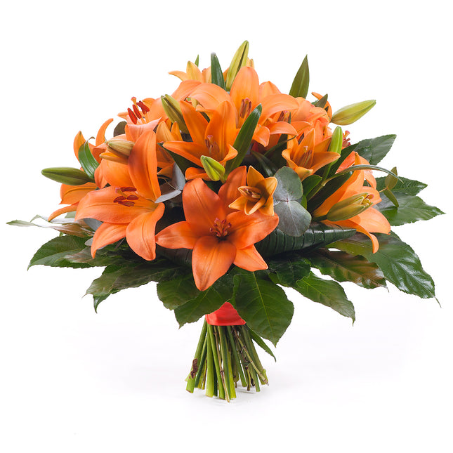 03000604_elite-oranzove-lalie