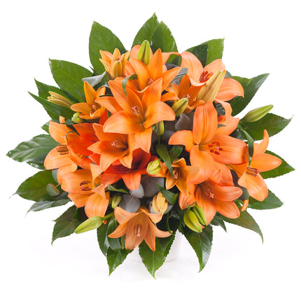 03000604_elite-oranzove-lalie