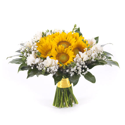 03000615_elite-slnecnice-a-frezie