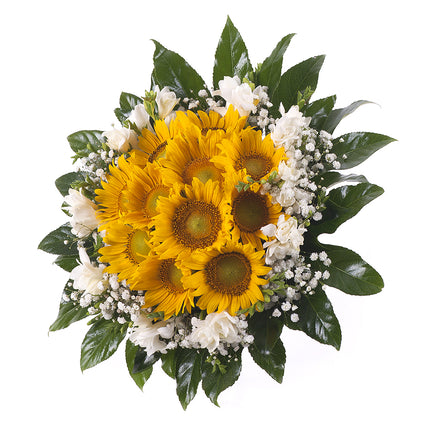 03000615_elite-slnecnice-a-frezie