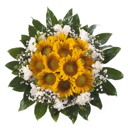 03000615_elite-slnecnice-a-frezie