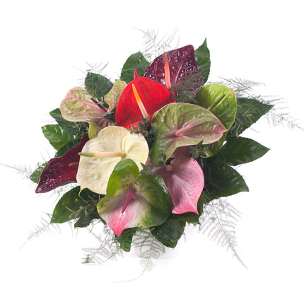 03000625_farebne-anturie