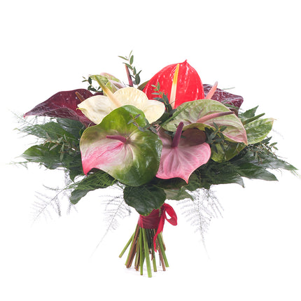 03000625_farebne-anturie