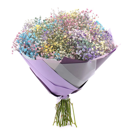03000646_kytica-farebna-gypsophila