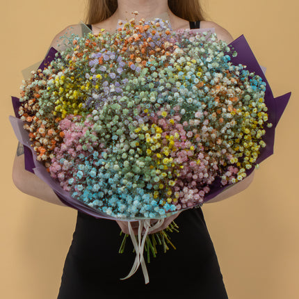 03000646_kytica-farebna-gypsophila