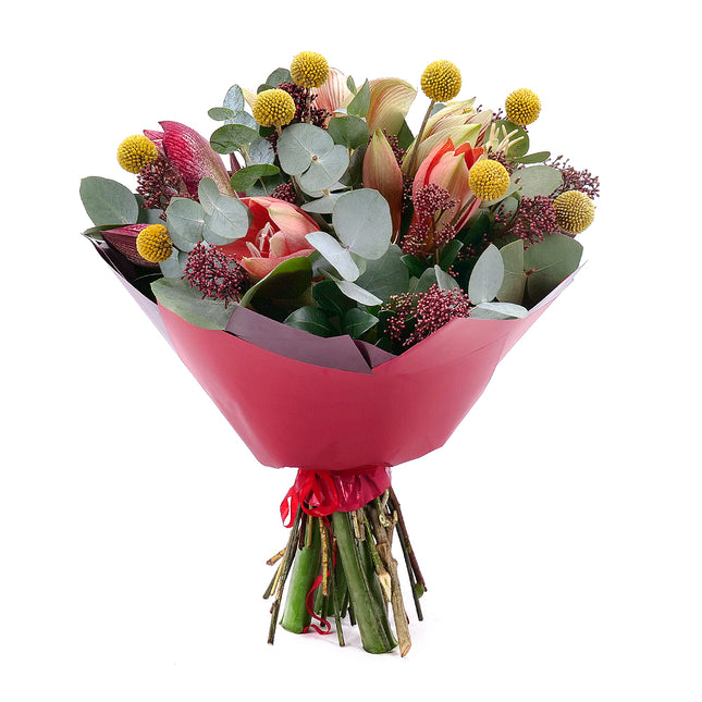 03000660_sweet-farebne-amarylisy-a-skimmia