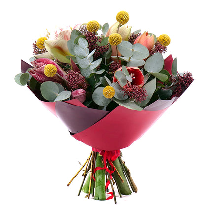 03000660_sweet-farebne-amarylisy-a-skimmia