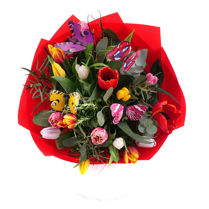 03000661_sweet-farebne-tulipany-a-motyle