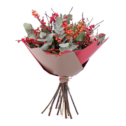 03000664_flolivery-sweet-ilex-a-eukalyptus