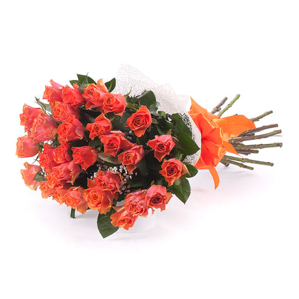 03000682_grande-ruze-lady-margaret-oranzove