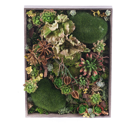 03000780_irigo-machovy-obraz-sukulenty-mix