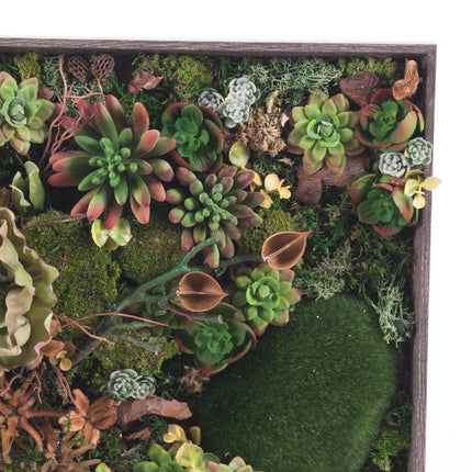 03000780_irigo-machovy-obraz-sukulenty-mix