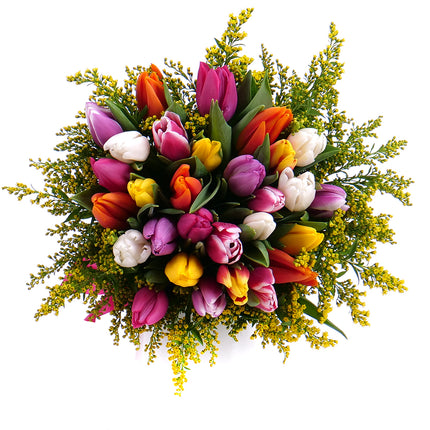 03000982_jarona-19-tulipany-solidago