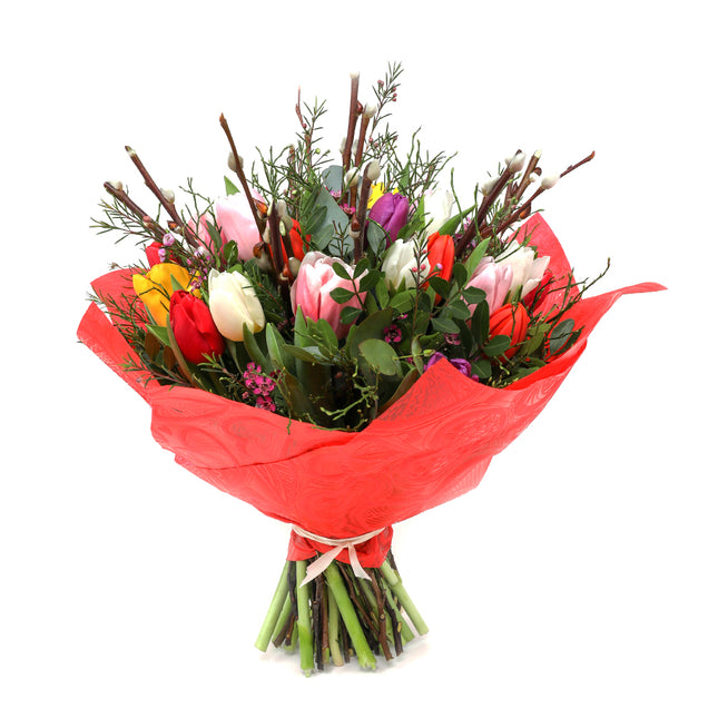 03000985_jarona-21-far-tulipany-waxflover