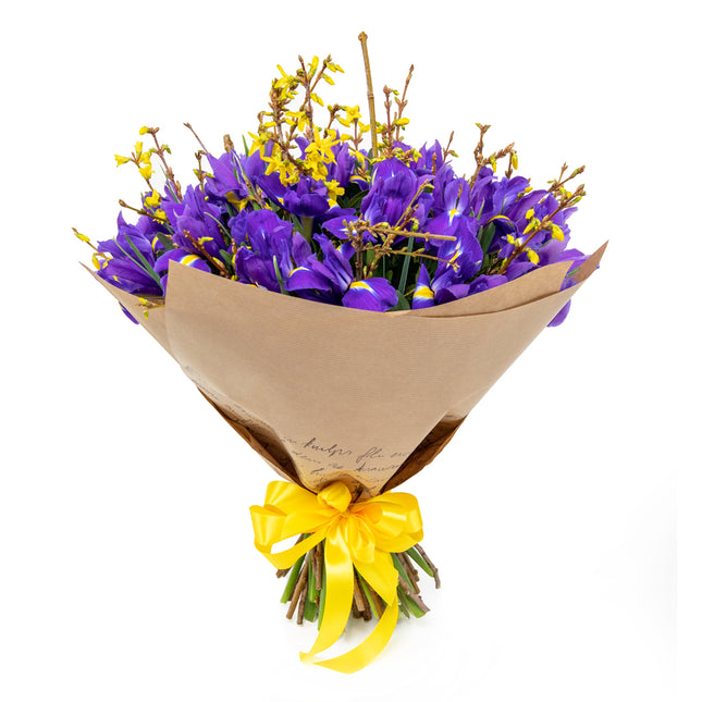 03000987_jarona-23-irisy-zlaty-dazd