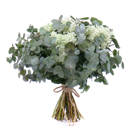 03001068_kytica-eukalyptus-in-eterno-zelena-hortenzia