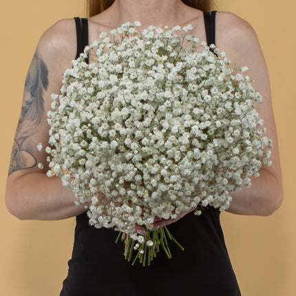 03001073_kytica-gypsophila