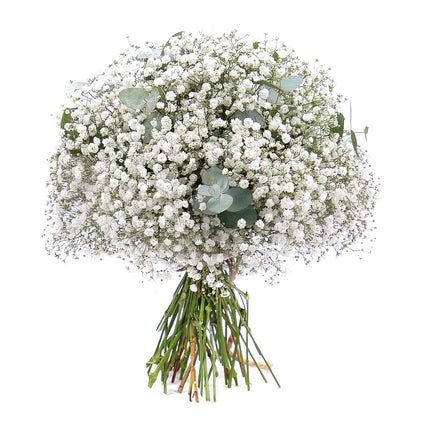 03001075_kytica-gypsophila-a-eukalyptus