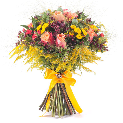 03001101_kytica-jesona-7