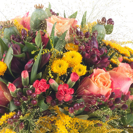 03001101_kytica-jesona-7