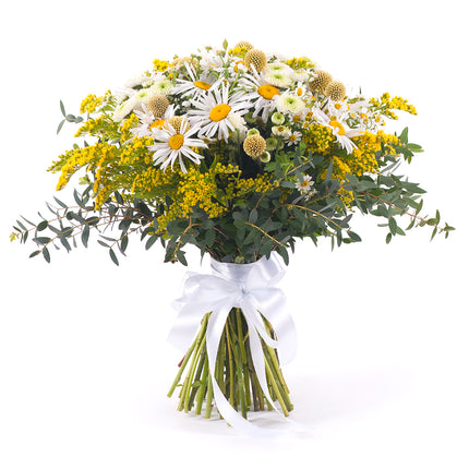 03001109_kytica-letana-14-biele-margaretky-a-craspedia