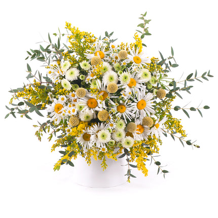 03001109_kytica-letana-14-biele-margaretky-a-craspedia