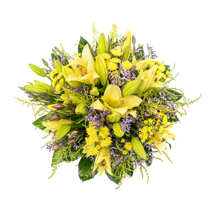 03001113_kytica-letana-18