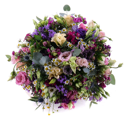 03001116_kytica-letana-20