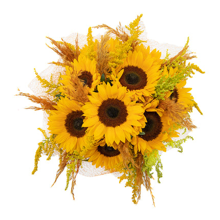 03001117_kytica-letana-21-slnecnice