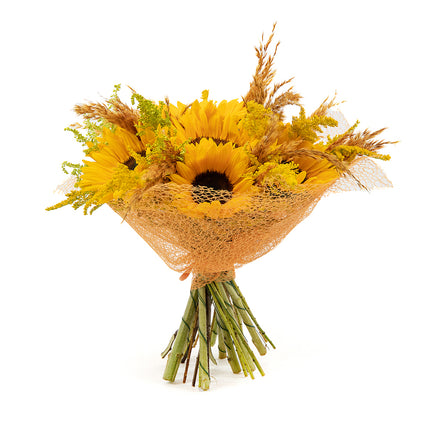 03001117_kytica-letana-21-slnecnice