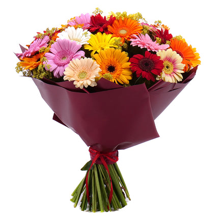 03001122_kytica-letana-26-farebne-minigerbery