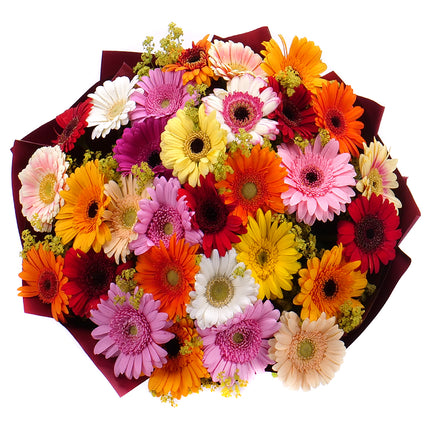 03001122_kytica-letana-26-farebne-minigerbery