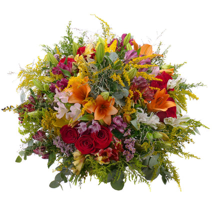 03001157_kytica-letana-8