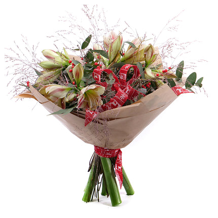 03001187_kytica-zimona-12