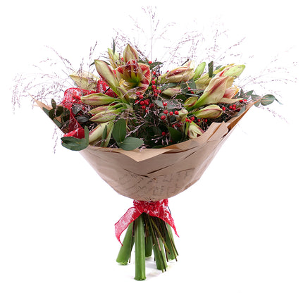 03001187_kytica-zimona-12