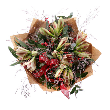 03001187_kytica-zimona-12