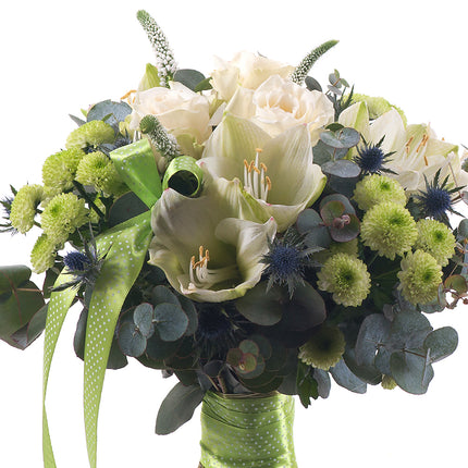 03001191_kytica-zimona-16