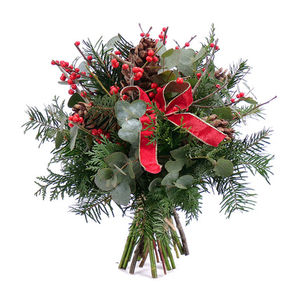 03001209_kytica-zimona-32