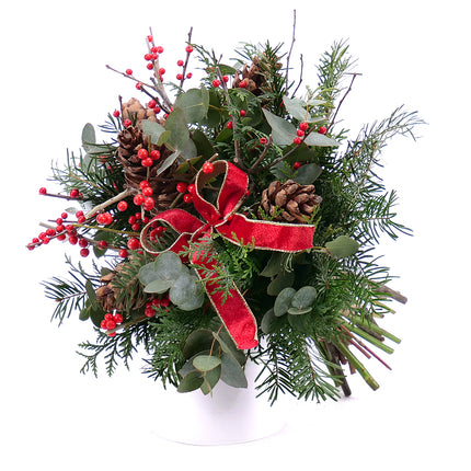 03001209_kytica-zimona-32