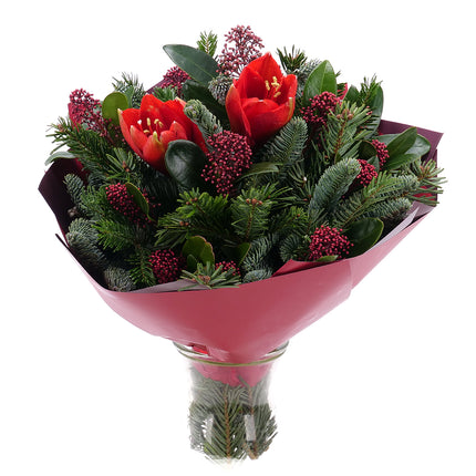 03001231_kytica-zimona-49