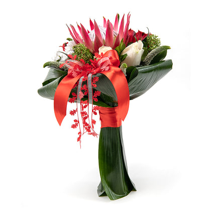 03001244_lady-kremove-ruze-a-protea