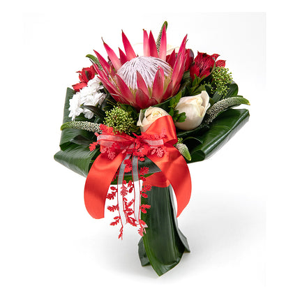 03001244_lady-kremove-ruze-a-protea