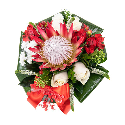 03001244_lady-kremove-ruze-a-protea