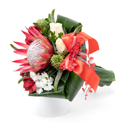 03001244_lady-kremove-ruze-a-protea