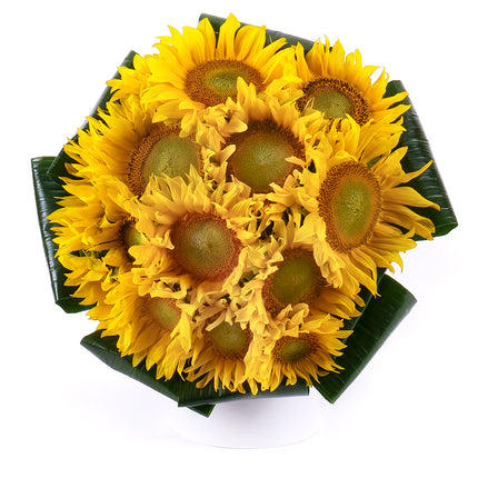 03001250_lady-slnecnice