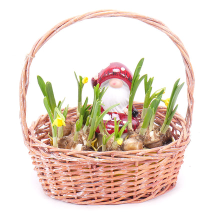 03001326_narcisy-v-prutenom-kosiku-s-dekoraciou