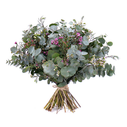 03001330_nature-kytica-eukalyptus-a-waxflower