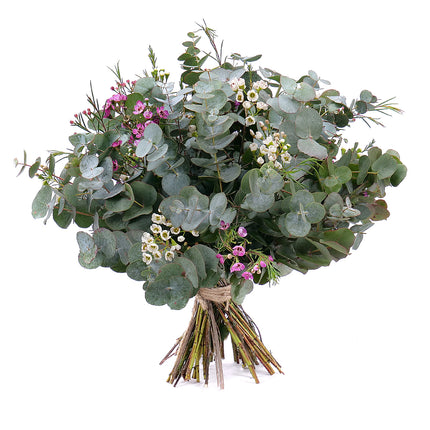 03001330_nature-kytica-eukalyptus-a-waxflower