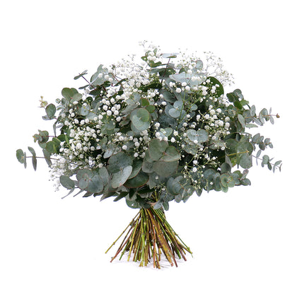 03001331_nature-kytica-eukalyptus-s-gypsophilou